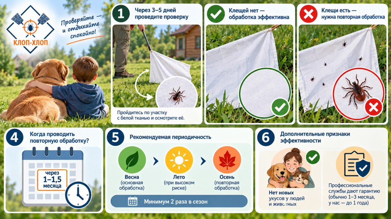 Как оценить эффективность обработки и когда проводить повторные процедуры